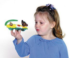Butterfly Feeder Kit