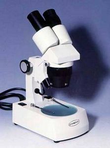 STEREO MICROSCOPE 