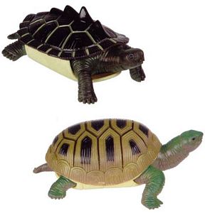 turtle squishy toy