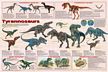 Tyrannosaurs Rex Poster (Laminated)