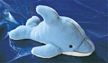 Gund Aquatic Wonders Dolphin 5"