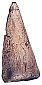 Iguanodon Thumb Spike