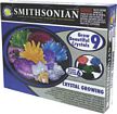 Smithsonian Electronic Crystal Growing Kit, kids gorw your own crystals, crystal kits for children