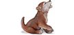 Wild Safari Wolf Cub