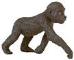 Wild Safari Lowland Gorilla Baby