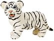 Wild Safari White Bengal Tiger Cub