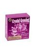 Crystal Growing Kit-Amethyst Purple