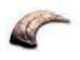 Velociraptor claw Replica
