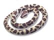 Rock Python Snake Rubber Toy 26"