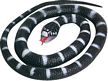 26" California King Snake