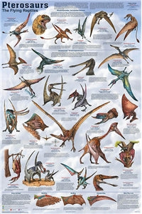 Pterosaurus Dinosaur Poster - Laminated – Store for Knowledge