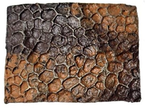 hadrosaur skin