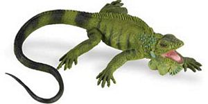 Science Kits, Dinosaur Toys, Rock Mineral Kits, Shark Toys, Kids Garden ...