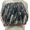 Large Fossil Orthoceras Plaque | Polished Specimen Sculpture 15.25" 21.70 lbs | Home Office Décor