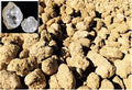 Classroom Bulk Pack - 200 Break Open Whole Moroccan Geodes 2"