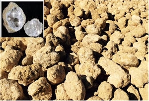 Classroom Bulk Pack - 200 Break Open Whole Moroccan Geodes 2"