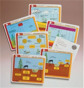 Ecosystem Nutrient Cycle - 6 Transparencies