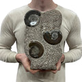 Medium Fossil Orthoceras and Gonatite Slab Plaque Standing Base - Polished Specimen Sculpture 11" 5.32 Lbs.