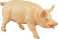 Wild Safari Farm Classic Pig Model Toy