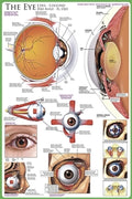 The Eye Poster