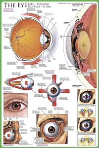 The Eye Poster