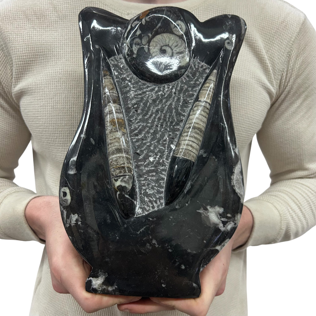 Medium Fossil Orthoceras and Gonatite Slab Plaque Standing Base - Polished Specimen Sculpture 11" 5.32 Lbs.