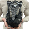 Medium Fossil Orthoceras and Gonatite Slab Plaque Standing Base - Polished Specimen Sculpture 11" 5.32 Lbs.