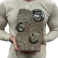 Medium Fossil Orthoceras and Gonatite Slab Plaque Standing Base - Polished Specimen Sculpture 11" 5.32 Lbs.