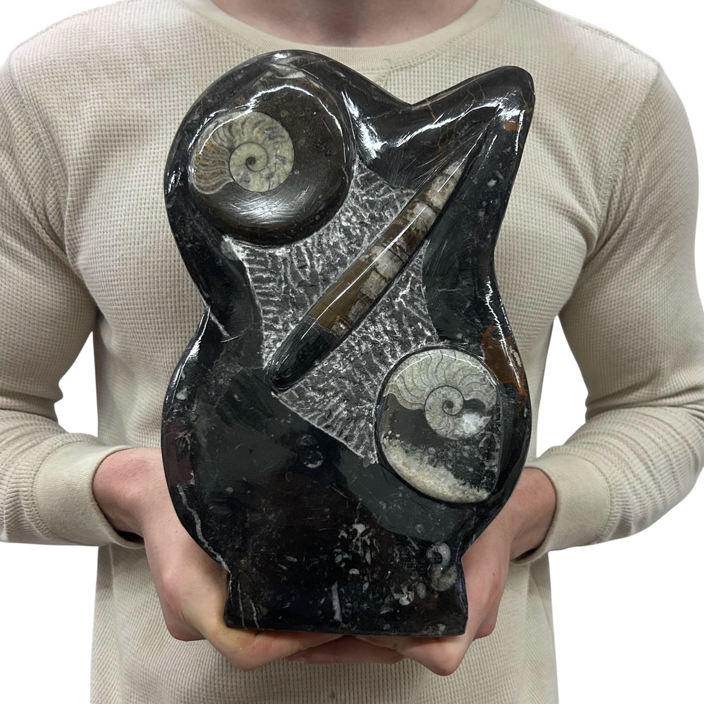 Medium Fossil Orthoceras and Gonatite Slab Plaque Standing Base - Polished Specimen Sculpture 11" 5.32 Lbs.