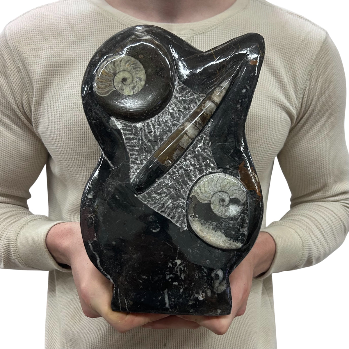 Medium Fossil Orthoceras and Gonatite Slab Plaque Standing Base - Polished Specimen Sculpture 11" 5.32 Lbs.