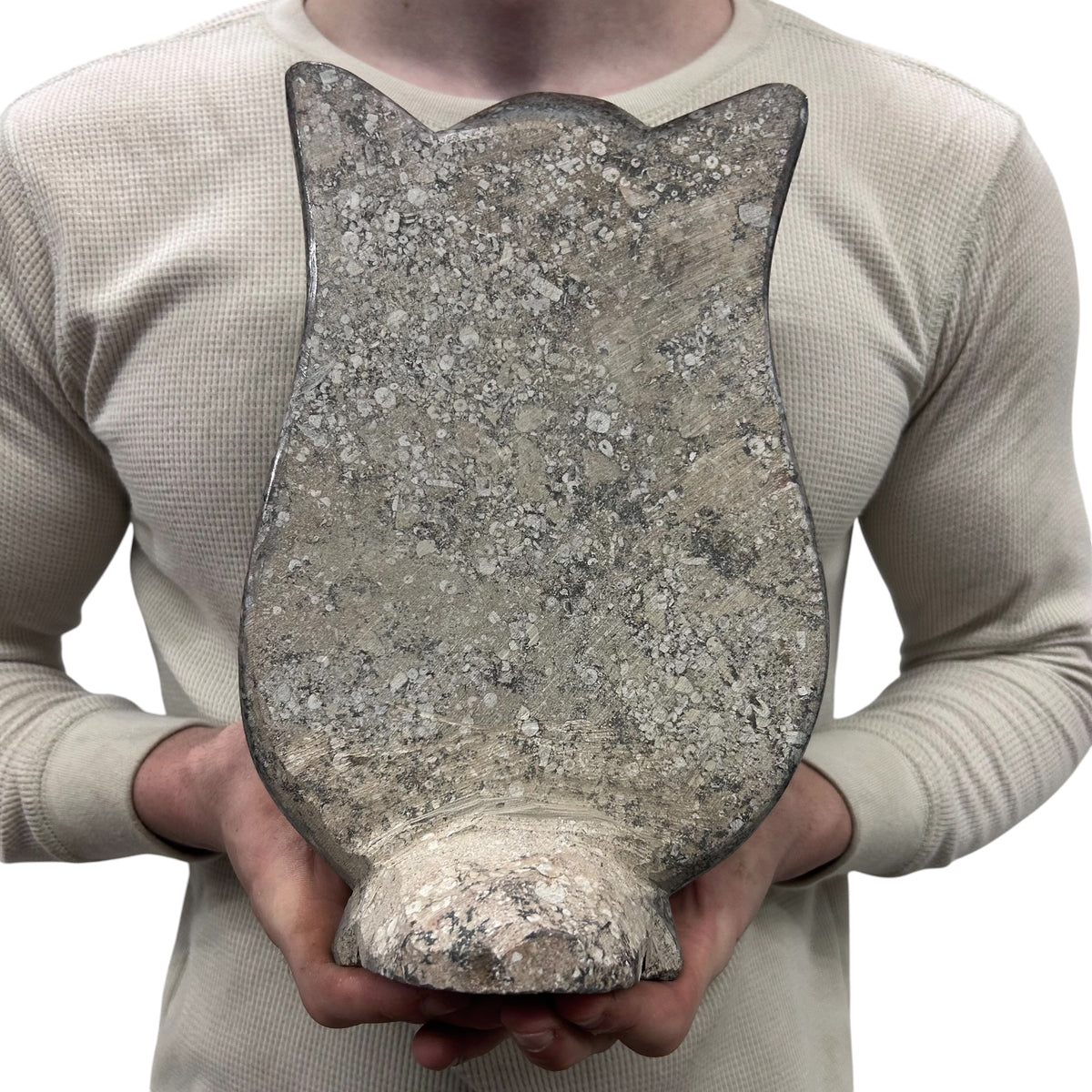 Medium Fossil Orthoceras and Gonatite Slab Plaque Standing Base - Polished Specimen Sculpture 11" 5.32 Lbs.