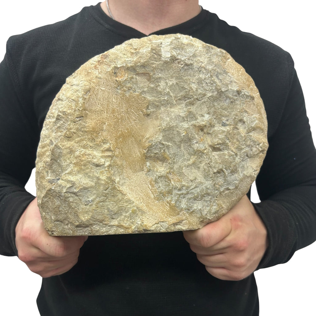 Huge Real Fossilized Authentic Ammonite Cut Base 9.5” 17.53 lbs | Home or Office Décor