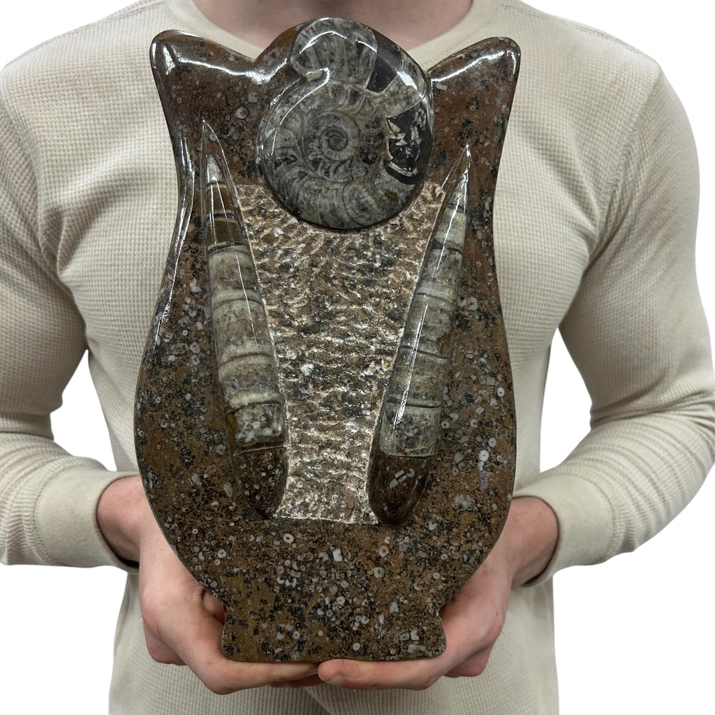 Medium Fossil Orthoceras and Gonatite Slab Plaque Standing Base - Polished Specimen Sculpture 11" 5.32 Lbs.