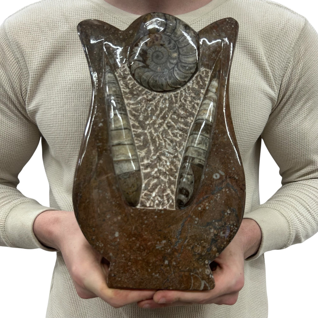 Medium Fossil Orthoceras and Gonatite Slab Plaque Standing Base - Polished Specimen Sculpture 11" 5.32 Lbs.