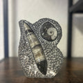 Small Orthoceras and Gontite Fossil Slab Plaque w/ Standing base - Polished Specimen Sculpture 6.25" 1.67 lbs
