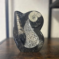 Small Orthoceras and Gontite Fossil Slab Plaque w/ Standing base - Polished Specimen Sculpture 6.25" 1.67 lbs