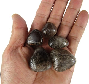 Madagascar Tumbled Smoky Quartz w/ Bag & Tag