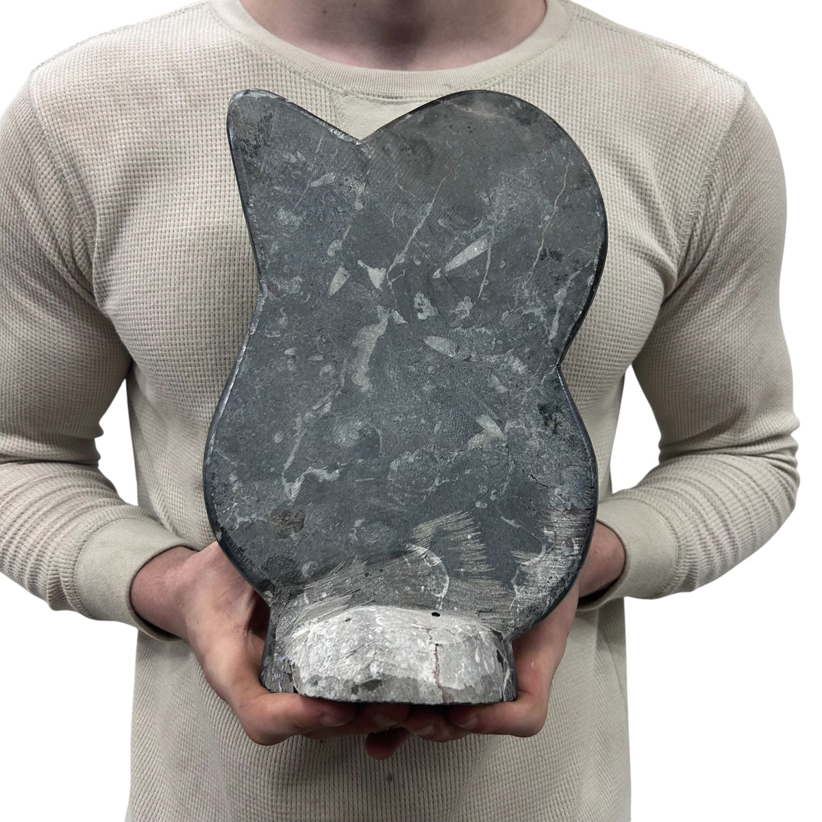 Medium Fossil Orthoceras and Gonatite Slab Plaque Standing Base - Polished Specimen Sculpture 11" 5.32 Lbs.