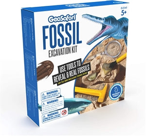 Fossil Excavation Kit