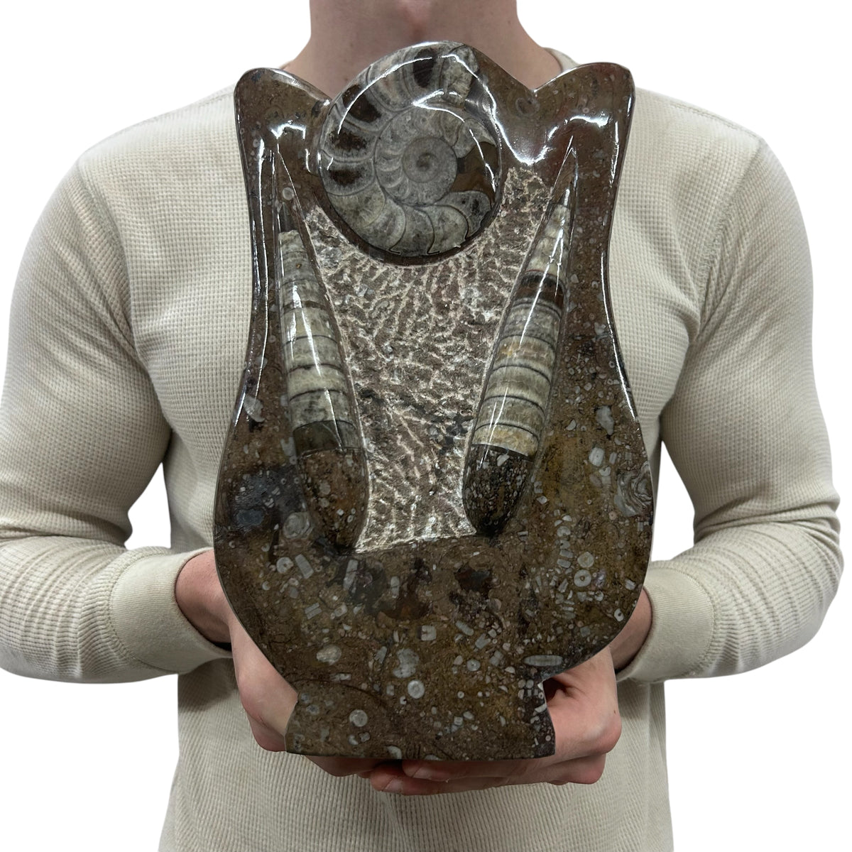 Medium Fossil Orthoceras and Gonatite Slab Plaque Standing Base - Polished Specimen Sculpture 11" 5.32 Lbs.