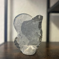 Small Orthoceras and Gontite Fossil Slab Plaque w/ Standing base - Polished Specimen Sculpture 6.25" 1.67 lbs