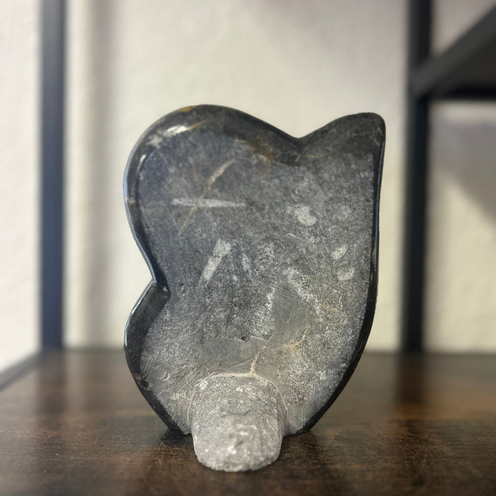 Small Orthoceras and Gontite Fossil Slab Plaque w/ Standing base - Polished Specimen Sculpture 6.25" 1.67 lbs