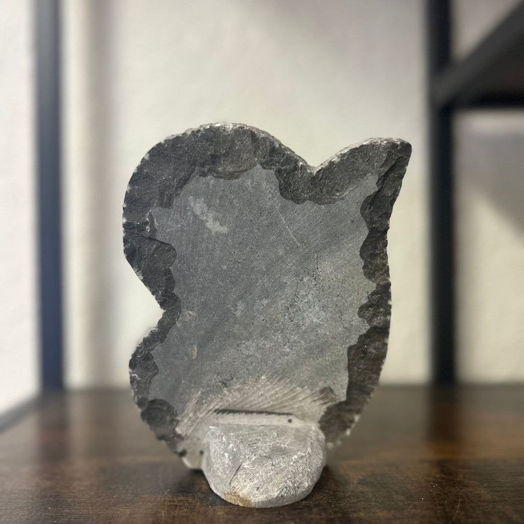 Small Orthoceras and Gontite Fossil Slab Plaque w/ Standing base - Polished Specimen Sculpture 6.25" 1.67 lbs