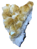 Natural Orange Citrine Druzy Cluster 5" 0.85 lbs