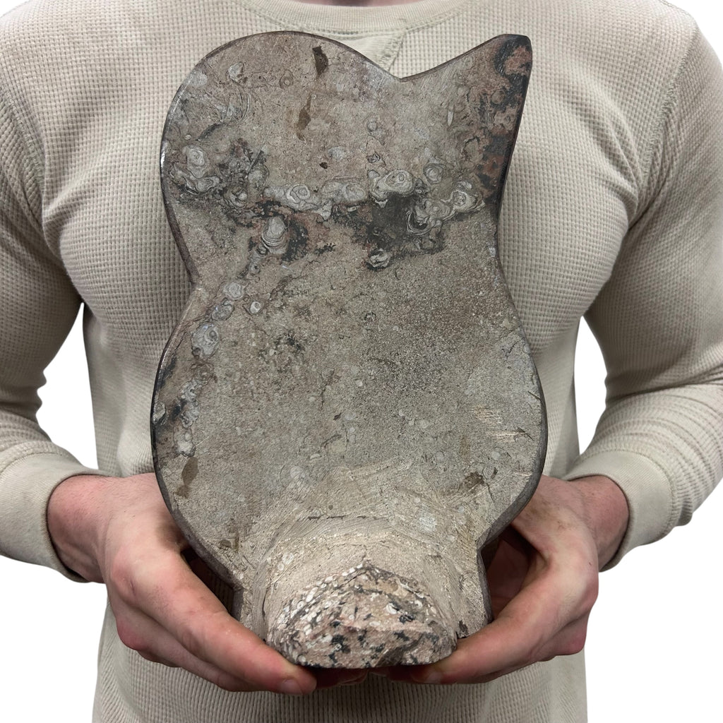 Medium Fossil Orthoceras and Gonatite Slab Plaque Standing Base - Polished Specimen Sculpture 11" 5.32 Lbs.