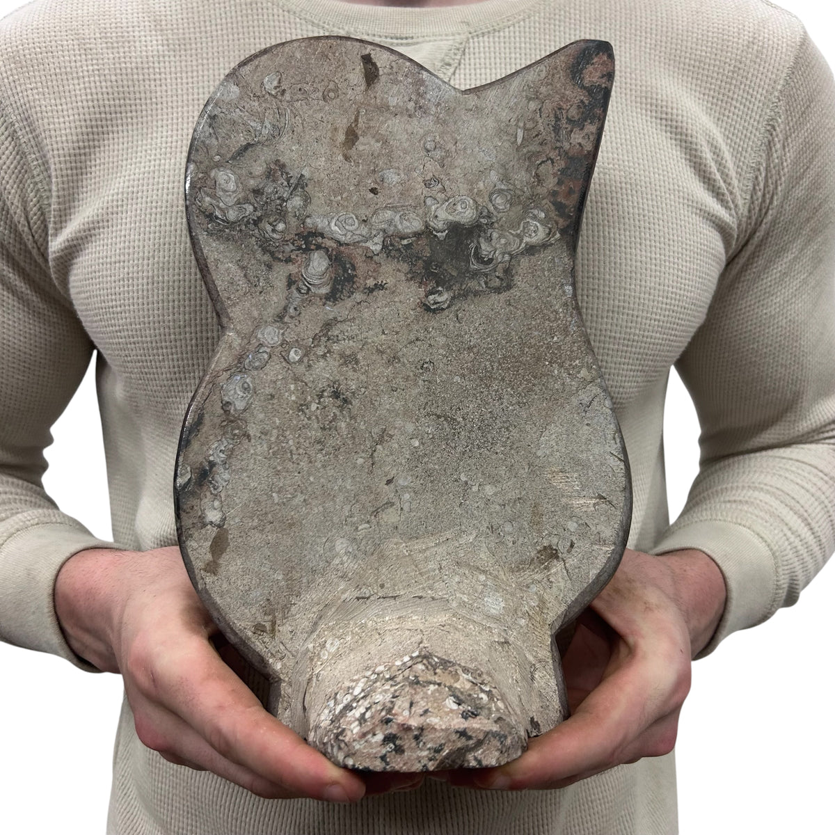 Medium Fossil Orthoceras and Gonatite Slab Plaque Standing Base - Polished Specimen Sculpture 11" 5.32 Lbs.