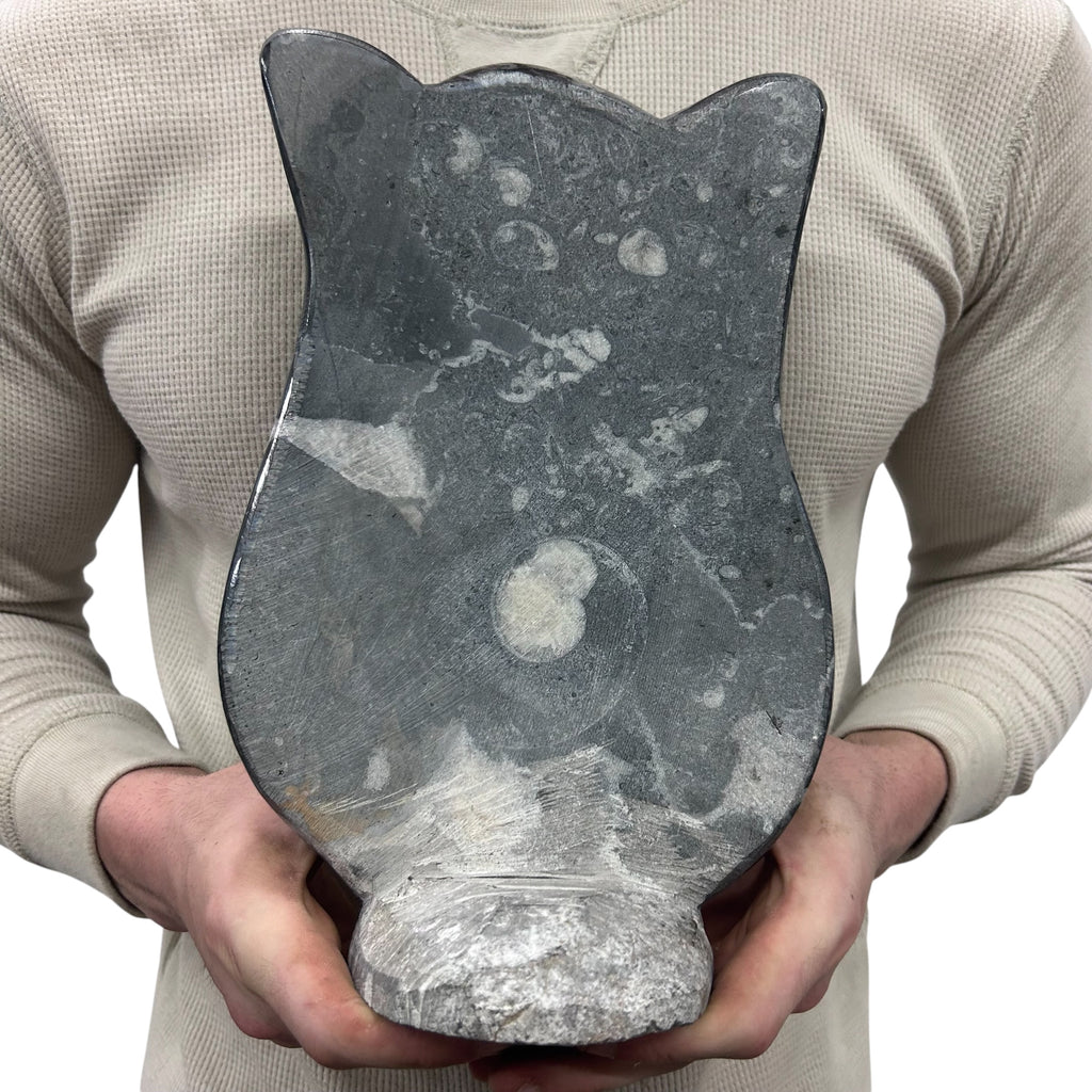 Medium Fossil Orthoceras and Gonatite Slab Plaque Standing Base - Polished Specimen Sculpture 11" 5.32 Lbs.