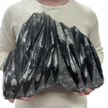 Large Fossil Orthoceras Plaque | Polished Specimen Sculpture 14.25" 18.55 lbs | Home Office Décor