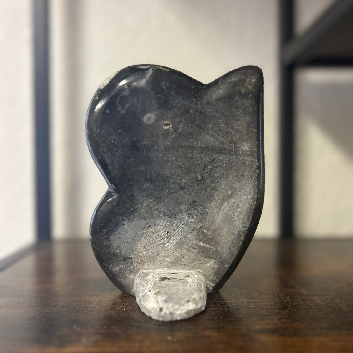 Small Orthoceras and Gontite Fossil Slab Plaque w/ Standing base - Polished Specimen Sculpture 6.25" 1.67 lbs