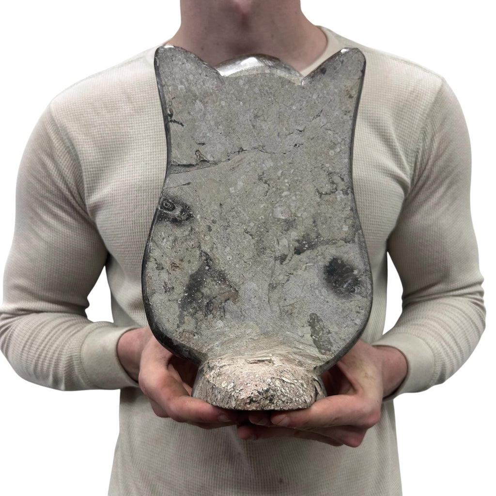 Medium Fossil Orthoceras and Gonatite Slab Plaque Standing Base - Polished Specimen Sculpture 11" 5.32 Lbs.